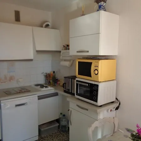 Avec Terrasse Au Lavandou - Fr-1-308-105 Le Lavandou