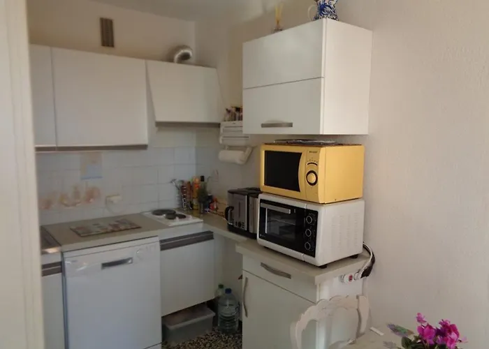 Avec Terrasse Au Lavandou - Fr-1-308-105 Le Lavandou